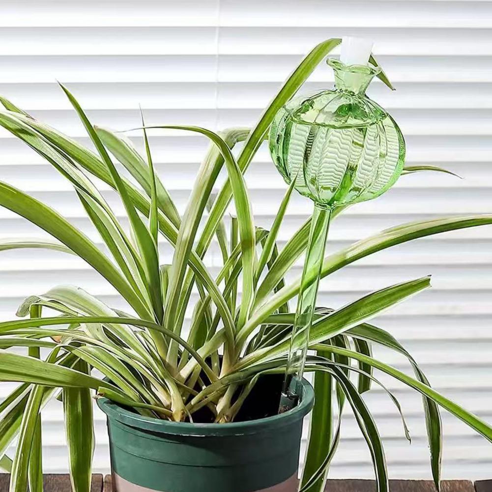 Ampoules d'arrosage automatiqu - Self Watering Insert avis et prix